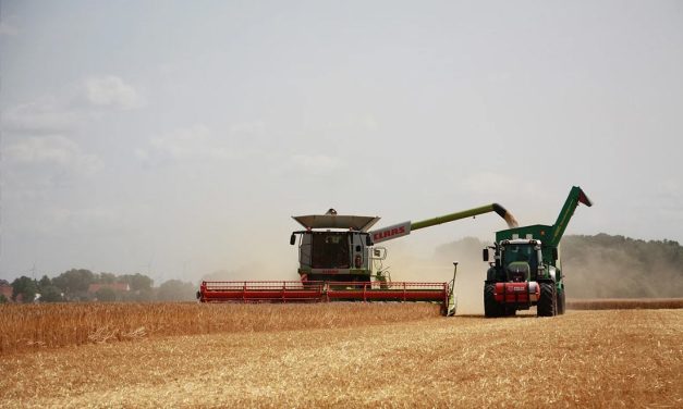 Guvernul Ciolacu a alocat în ultimul an agriculturii cel mai mare buget din istorie, peste 2% din PIB